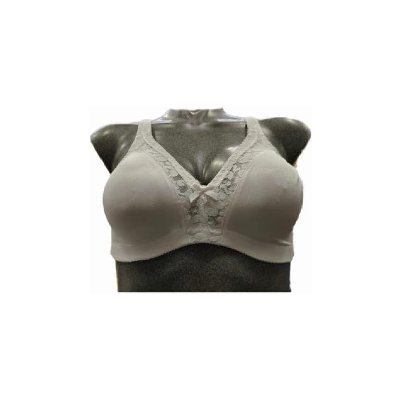 Brasier Warners Sin Varillas Modelo 1244