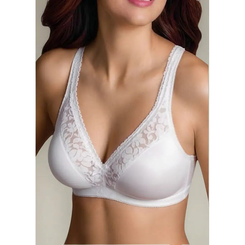 Brasier Warners Sin Varillas Modelo 1244