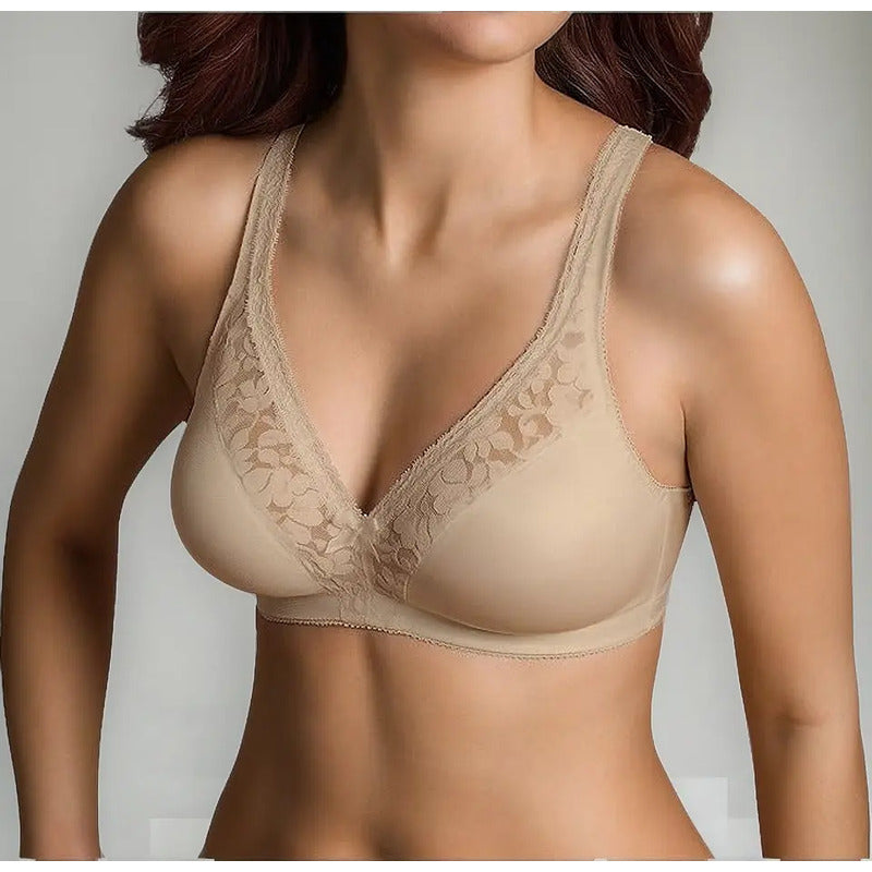 Brasier Warners Sin Varillas Modelo 1244